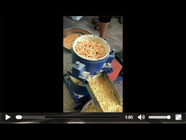 ��������w���Cҕ�l